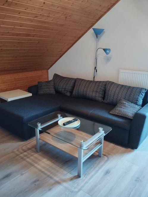 Ferienwohnung Zur Schoenen Aussicht Buchen (Odenwald, Baden-Wurttemberg) Exterior foto